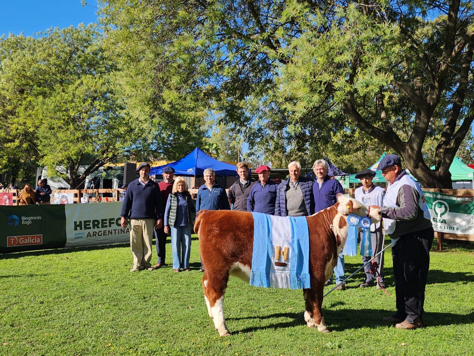 Azul Rural Azul, sede de la tradicional Muestra de Otoño de Hereford y Shorthorn ...