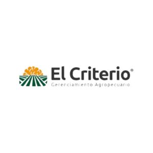 El criterio